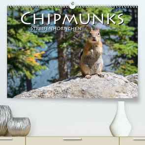 Chipmunks Streifenhörnchen (Premium, hochwertiger DIN A2 Wandkalender 2021, Kunstdruck in Hochglanz) von Styppa,  Robert