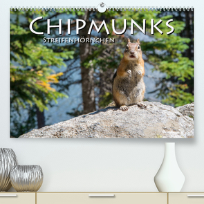 Chipmunks Streifenhörnchen (Premium, hochwertiger DIN A2 Wandkalender 2022, Kunstdruck in Hochglanz) von Styppa,  Robert