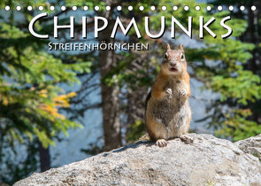 Chipmunks Streifenhörnchen (Tischkalender 2022 DIN A5 quer) von Styppa,  Robert