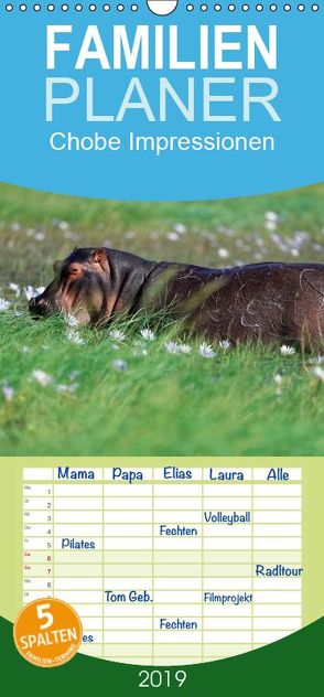 Chobe Impressionen – Familienplaner hoch (Wandkalender 2019 <strong>21 cm x 45 cm</strong> hoch) von Wolf,  Gerald