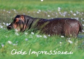 Chobe Impressionen (Wandkalender 2018 DIN A2 quer) von Wolf,  Gerald