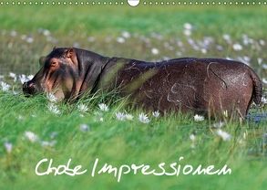 Chobe Impressionen (Wandkalender 2018 DIN A3 quer) von Wolf,  Gerald