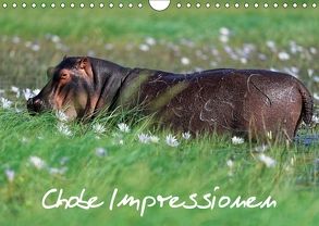 Chobe Impressionen (Wandkalender 2018 DIN A4 quer) von Wolf,  Gerald