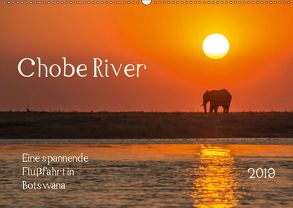 Chobe River – Eine spannende Flussfahrt in Botswana (Wandkalender 2019 DIN A2 quer) von Bethke,  Barbara