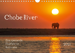 Chobe River – Eine spannende Flussfahrt in Botswana (Wandkalender 2021 DIN A4 quer) von Bethke,  Barbara