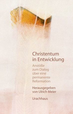 Christentum in Entwicklung von Meier,  Ulrich