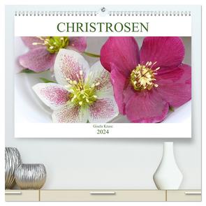 Christrosen (hochwertiger Premium Wandkalender 2024 DIN A2 quer), Kunstdruck in Hochglanz von Kruse,  Gisela