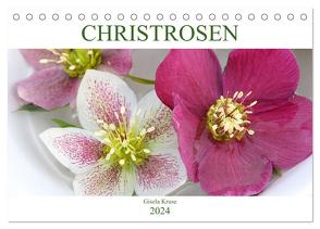 Christrosen (Tischkalender 2024 DIN A5 quer), CALVENDO Monatskalender von Kruse,  Gisela