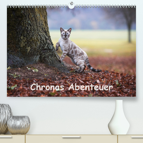 Chronas Abenteuer (Premium, hochwertiger DIN A2 Wandkalender 2021, Kunstdruck in Hochglanz) von meets Elos Photography,  Robyn