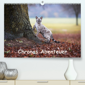 Chronas Abenteuer (Premium, hochwertiger DIN A2 Wandkalender 2023, Kunstdruck in Hochglanz) von meets Elos Photography,  Robyn