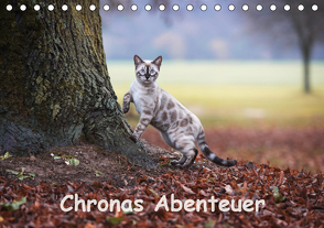 Chronas Abenteuer (Tischkalender 2020 DIN A5 quer) von meets Elos Photography,  Robyn