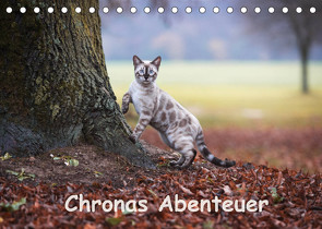 Chronas Abenteuer (Tischkalender 2022 DIN A5 quer) von meets Elos Photography,  Robyn