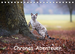 Chronas Abenteuer (Tischkalender 2023 DIN A5 quer) von meets Elos Photography,  Robyn