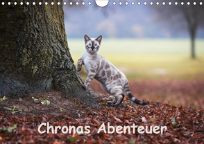 Chronas Abenteuer (Wandkalender 2020 DIN A4 quer) von meets Elos Photography,  Robyn