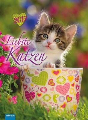 Classic-Kalender Liebste Katzen 2017