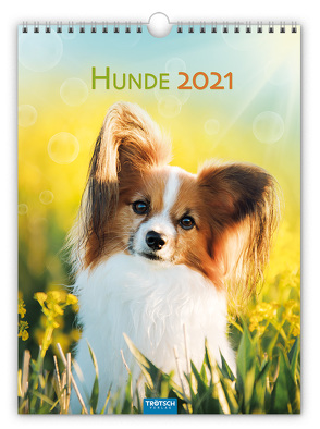 Classickalender „Hunde“ 2021