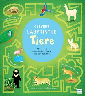 Clevere Labyrinthe – Tiere von Baker,  Laura, Pattenden,  Marc