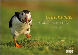Clownvogel Papageientaucher 2023 ‒ Wandkalender ‒ Format 42 x 29,7 cm ‒ Mit Spiralbindung