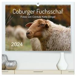 Coburger Fuchsschaf (hochwertiger Premium Wandkalender 2024 DIN A2 quer), Kunstdruck in Hochglanz von Kelle-Dingel,  Cordula