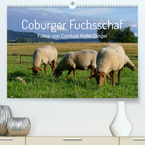 Coburger Fuchsschaf (Premium, hochwertiger DIN A2 Wandkalender 2022, Kunstdruck in Hochglanz) von Kelle-Dingel,  Cordula