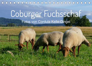 Coburger Fuchsschaf (Tischkalender 2022 DIN A5 quer) von Kelle-Dingel,  Cordula