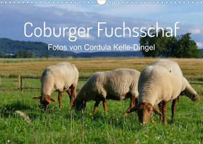 Coburger Fuchsschaf (Wandkalender 2022 DIN A3 quer) von Kelle-Dingel,  Cordula
