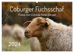 Coburger Fuchsschaf (Wandkalender 2024 DIN A2 quer), CALVENDO Monatskalender von Kelle-Dingel,  Cordula