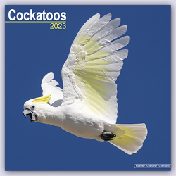 Cockatoos – Kakadus 2023 – 16-Monatskalender
