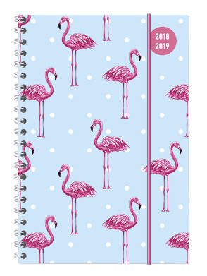 Collegetimer A5 Woche Flamingo Ringbuch 2018/2019 von ALPHA EDITION