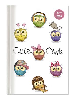 Collegetimer Cute Owls 2019/2020 – Eule – Schülerkalender A5 (15 x 21) – Day By Day – 352 Seiten – Terminplaner – Notizbuch von ALPHA EDITION