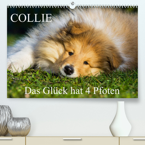 Collie – Das Glück hat 4 Pfoten (Premium, hochwertiger DIN A2 Wandkalender 2023, Kunstdruck in Hochglanz) von Starick,  Sigrid