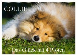 Collie – Das Glück hat 4 Pfoten (Wandkalender 2024 DIN A2 quer), CALVENDO Monatskalender von Starick,  Sigrid