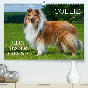 Collie – Mein bester Freund (Premium, hochwertiger DIN A2 Wandkalender 2022, Kunstdruck in Hochglanz) von Starick,  Sigrid