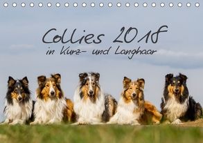 Collies 2018 in Kurz- und Langhaar (Tischkalender 2018 DIN A5 quer) von Hemlep,  Christine