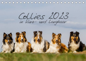 Collies 2023 in Kurz- und Langhaar (Tischkalender 2023 DIN A5 quer) von Hemlep,  Christine