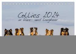 Collies 2024 in Kurz- und Langhaar (Tischkalender 2024 DIN A5 quer), CALVENDO Monatskalender von Hemlep,  Christine
