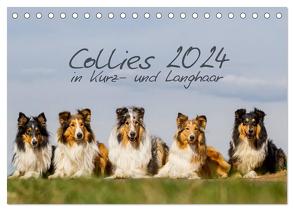 Collies 2024 in Kurz- und Langhaar (Tischkalender 2024 DIN A5 quer), CALVENDO Monatskalender von Hemlep,  Christine
