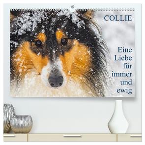 Collies – Eine Liebe für immer und ewig (hochwertiger Premium Wandkalender 2024 DIN A2 quer), Kunstdruck in Hochglanz von Starick,  Sigrid