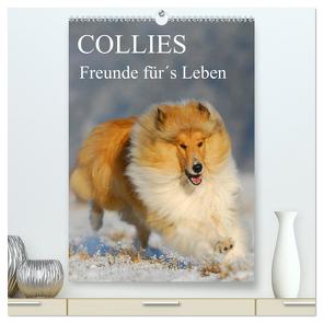 Collies – Freunde für´s Leben (hochwertiger Premium Wandkalender 2024 DIN A2 hoch), Kunstdruck in Hochglanz von Starick,  Sigrid