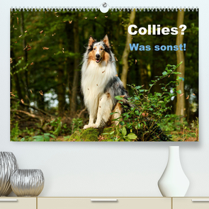 Collies? Was sonst! (Premium, hochwertiger DIN A2 Wandkalender 2022, Kunstdruck in Hochglanz) von Janetzek,  Yvonne