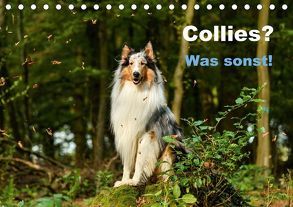 Collies? Was sonst! (Tischkalender 2018 DIN A5 quer) von Janetzek,  Yvonne