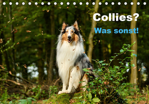 Collies? Was sonst! (Tischkalender 2021 DIN A5 quer) von Janetzek,  Yvonne