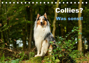 Collies? Was sonst! (Tischkalender 2022 DIN A5 quer) von Janetzek,  Yvonne