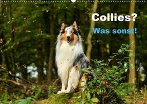 Collies? Was sonst! (Wandkalender 2021 DIN A2 quer) von Janetzek,  Yvonne