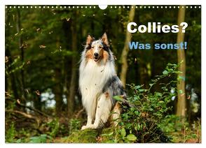 Collies? Was sonst! (Wandkalender 2024 DIN A3 quer), CALVENDO Monatskalender von Janetzek,  Yvonne