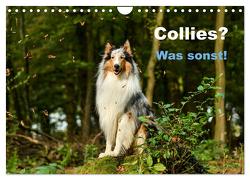 Collies? Was sonst! (Wandkalender 2024 DIN A4 quer), CALVENDO Monatskalender von Janetzek,  Yvonne