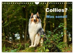 Collies? Was sonst! (Wandkalender 2024 DIN A4 quer), CALVENDO Monatskalender von Janetzek,  Yvonne