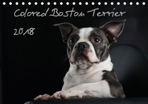 Colored Boston Terrier 2018 (Tischkalender 2018 DIN A5 quer) von Kassat Fotografie,  Nicola