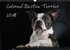 Colored Boston Terrier 2018 (Wandkalender 2018 DIN A3 quer) von Kassat Fotografie,  Nicola