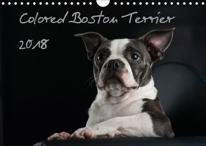 Colored Boston Terrier 2018 (Wandkalender 2018 DIN A4 quer) von Kassat Fotografie,  Nicola